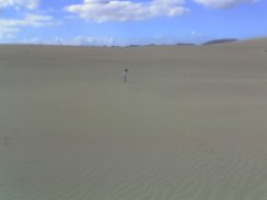dunes